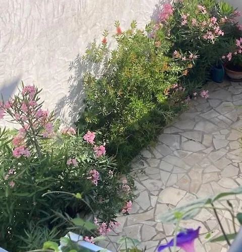 Hyper Centre Pres Du Port Et Pres Sales Lejlighed La Teste-de-Buch